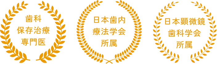 歯科保存治療専門医 / 日本歯内療法学会所属 / 日本顕微鏡歯科学会所属